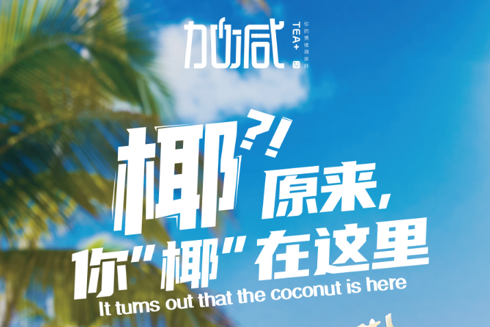 Stake椰子系列新品火爆上市